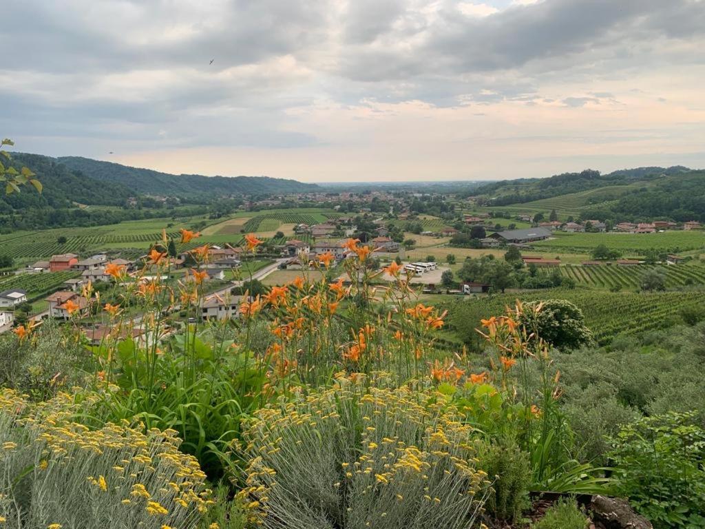 Bed and Breakfast L'Oro Di Nonna Adele Udine Exterior foto